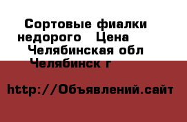 Сортовые фиалки   недорого › Цена ­ 50 - Челябинская обл., Челябинск г.  »    